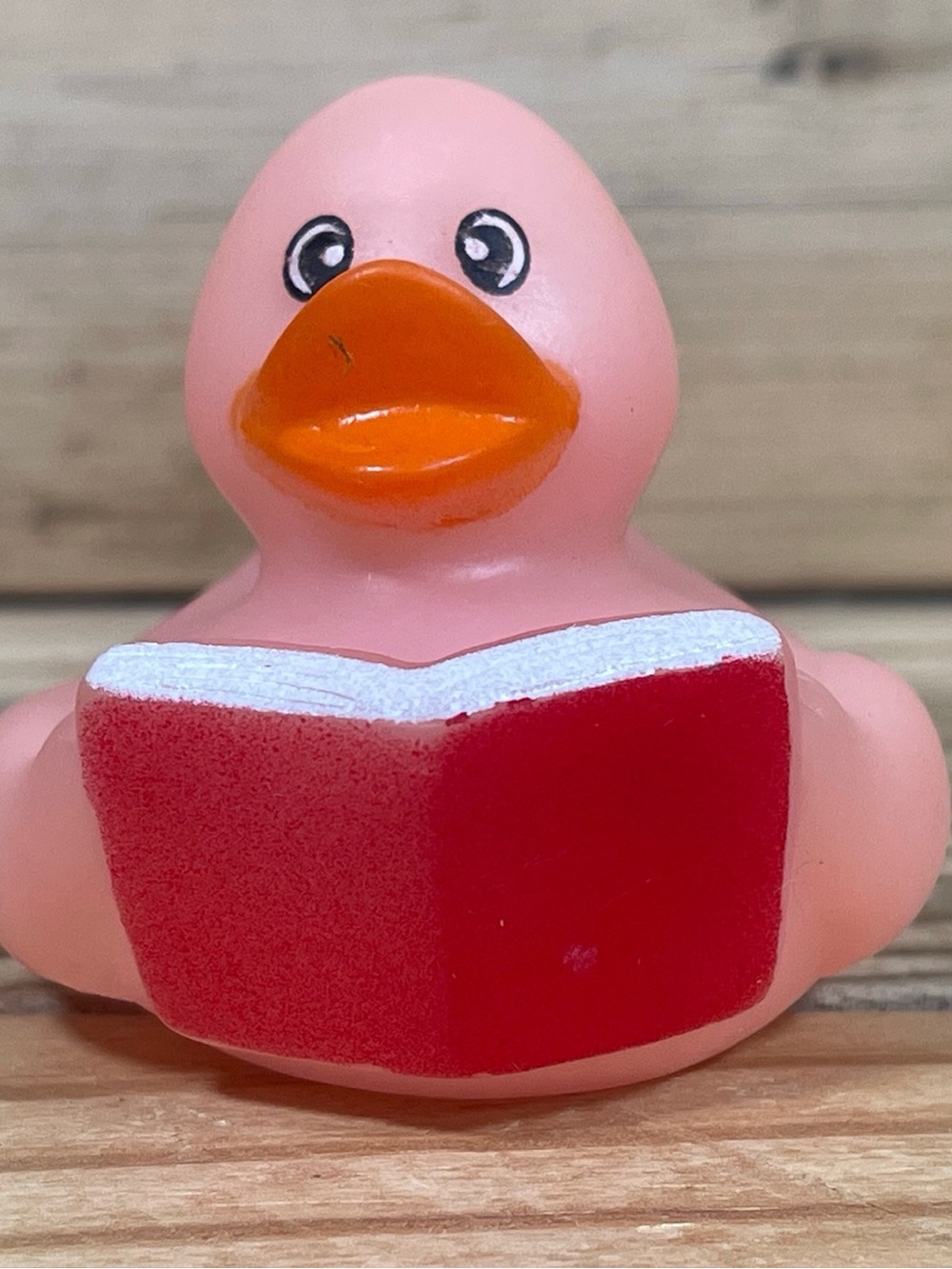 Book Reading Rubber Ducky Bath Tub Squirter 3” Mini Pink Water Pool Duck Figure